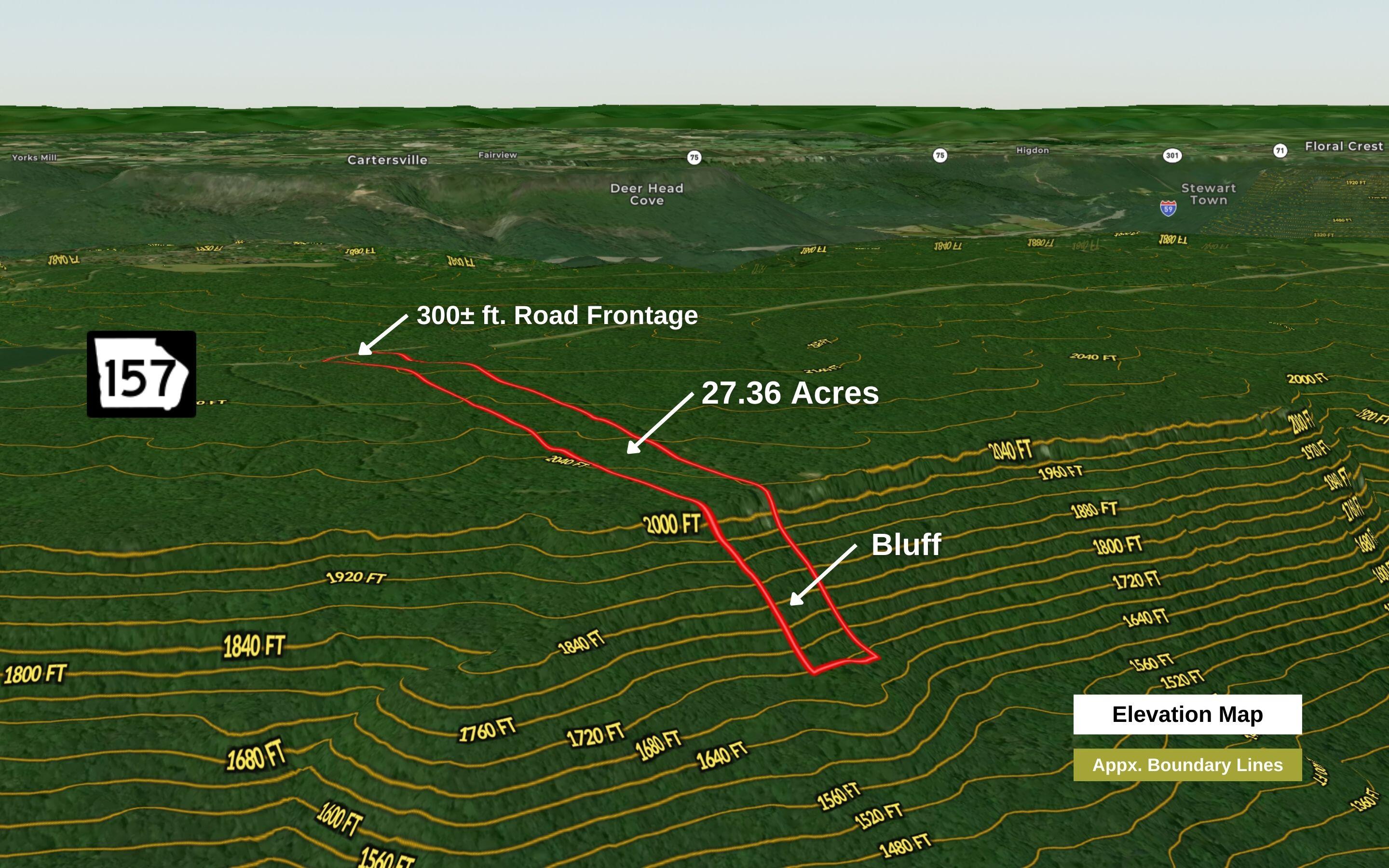 27 Acres Highway 157, Menlo, Georgia image 4