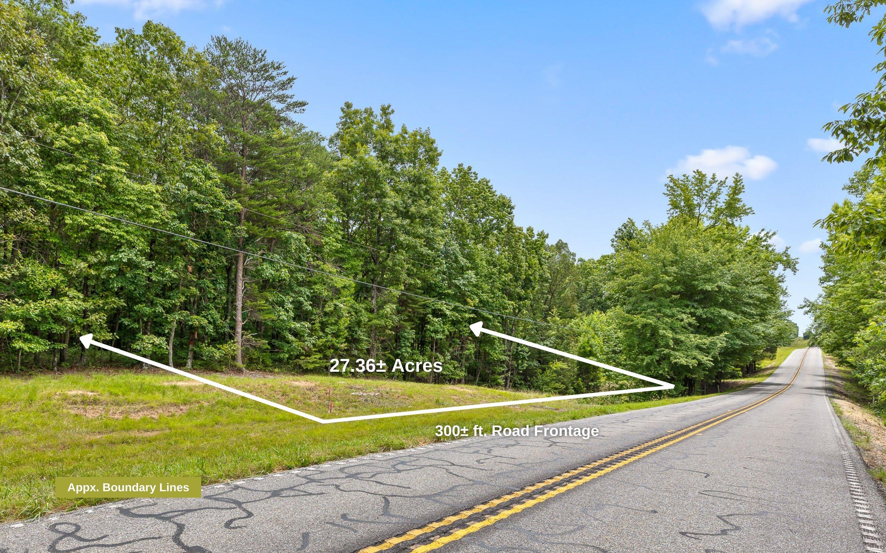 27 Acres Highway 157, Menlo, Georgia image 14