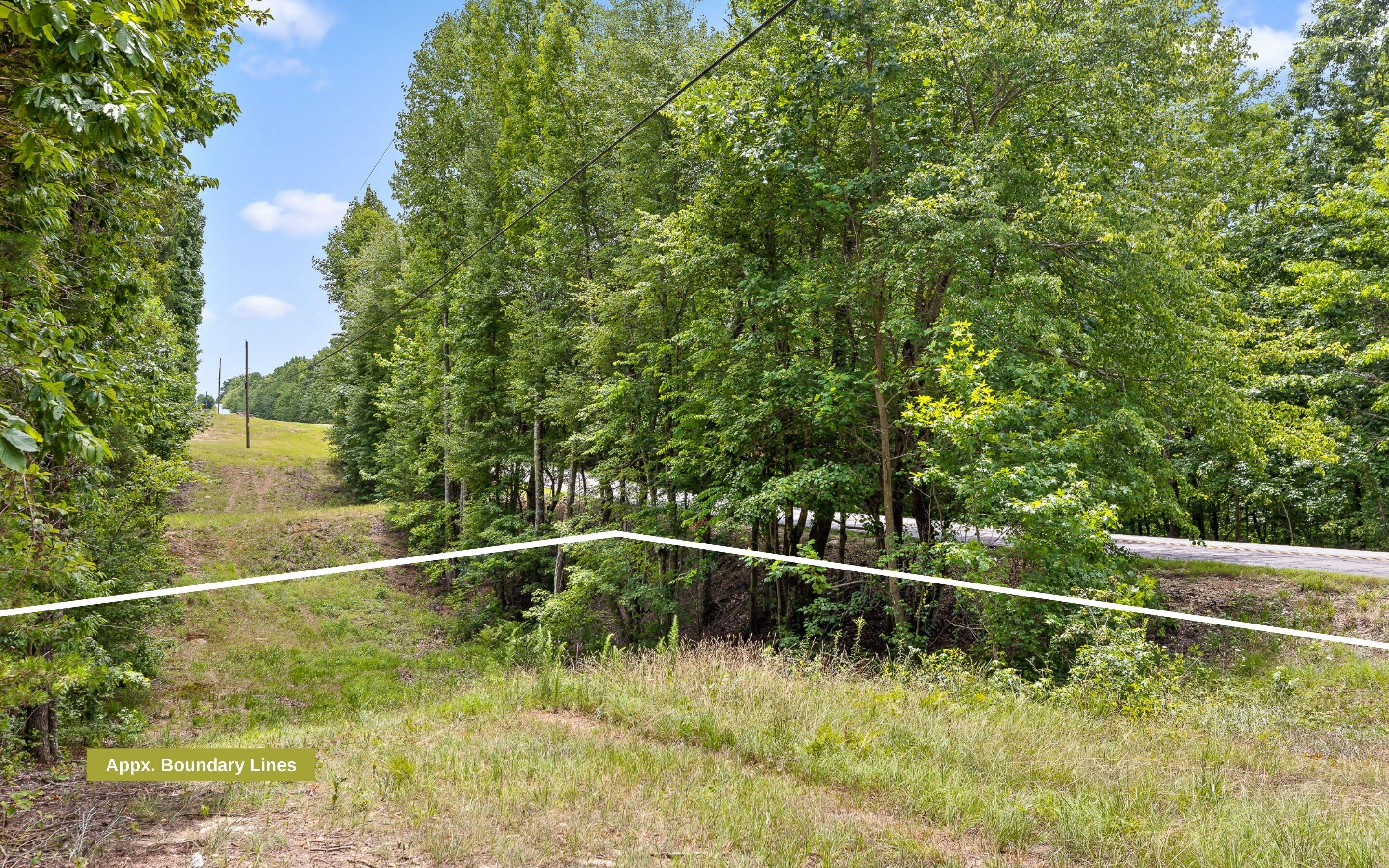 27 Acres Highway 157, Menlo, Georgia image 16
