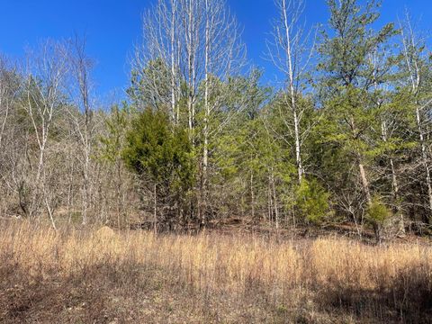Tiny photo for 0 John Burch Rd, Lot 33, Dunlap, TN 37327 (MLS # 1509160)