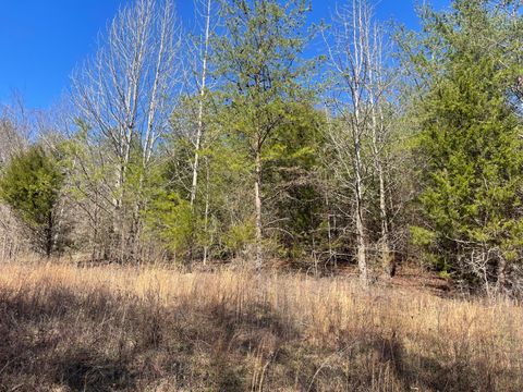 Tiny photo for 0 John Burch Rd, Lot 33, Dunlap, TN 37327 (MLS # 1509160)