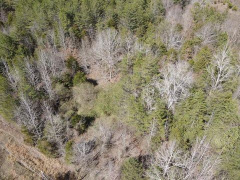 Tiny photo for 0 John Burch Rd, Lot 33, Dunlap, TN 37327 (MLS # 1509160)