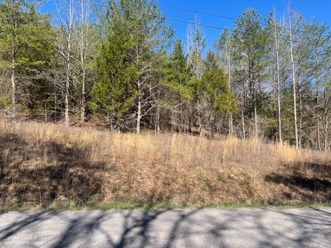 Tiny photo for 0 John Burch Rd, Lot 33, Dunlap, TN 37327 (MLS # 1509160)