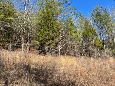 Tiny photo for 0 John Burch Rd, Lot 33, Dunlap, TN 37327 (MLS # 1509160)