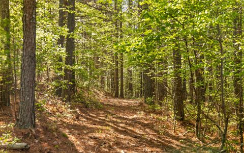 Tiny photo for 384 Acres Clouse Hill Road, Tracy City, TN 37387 (MLS # 1513172)