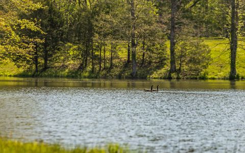 Tiny photo for 384 Acres Clouse Hill Road, Tracy City, TN 37387 (MLS # 1513172)