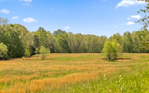 Tiny photo for 384 Acres Clouse Hill Road, Tracy City, TN 37387 (MLS # 1513172)