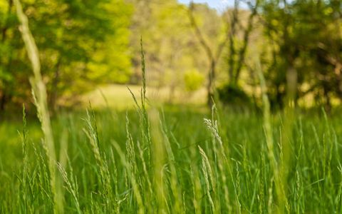 Tiny photo for 384 Acres Clouse Hill Road, Tracy City, TN 37387 (MLS # 1513172)