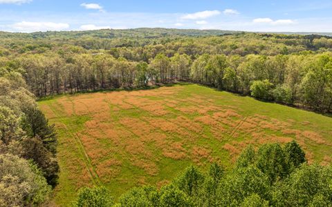 Tiny photo for 384 Acres Clouse Hill Road, Tracy City, TN 37387 (MLS # 1513172)