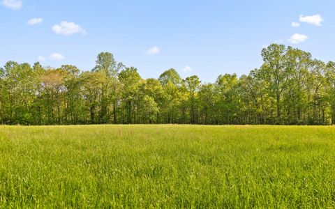 Tiny photo for 384 Acres Clouse Hill Road, Tracy City, TN 37387 (MLS # 1513172)