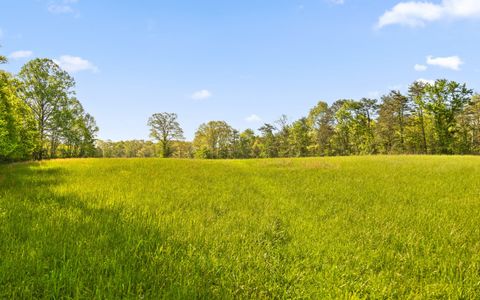 Tiny photo for 384 Acres Clouse Hill Road, Tracy City, TN 37387 (MLS # 1513172)