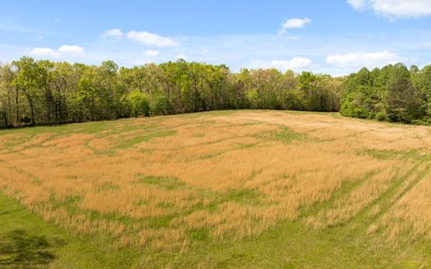 Tiny photo for 384 Acres Clouse Hill Road, Tracy City, TN 37387 (MLS # 1513172)