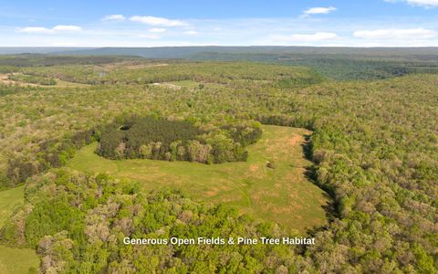 Tiny photo for 384 Acres Clouse Hill Road, Tracy City, TN 37387 (MLS # 1513172)