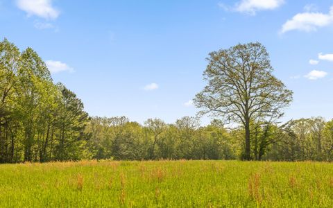 Tiny photo for 384 Acres Clouse Hill Road, Tracy City, TN 37387 (MLS # 1513172)