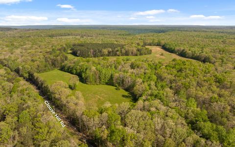 Tiny photo for 384 Acres Clouse Hill Road, Tracy City, TN 37387 (MLS # 1513172)
