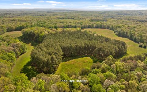 Tiny photo for 384 Acres Clouse Hill Road, Tracy City, TN 37387 (MLS # 1513172)