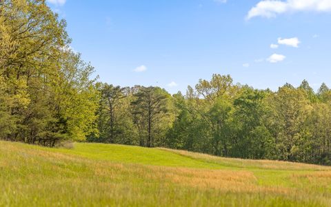 Tiny photo for 384 Acres Clouse Hill Road, Tracy City, TN 37387 (MLS # 1513172)