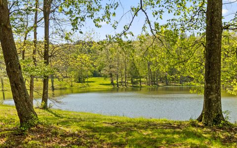 Photo of 384 Acres Clouse Hill Road, Tracy City, TN 37387 (MLS # 1513172)