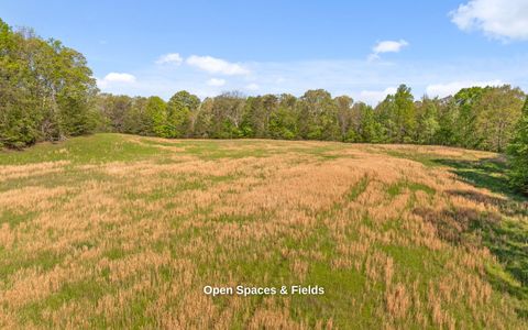 Tiny photo for 384 Acres Clouse Hill Road, Tracy City, TN 37387 (MLS # 1513172)