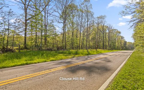 Tiny photo for 384 Acres Clouse Hill Road, Tracy City, TN 37387 (MLS # 1513172)