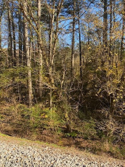 Photo of 0 N Hwy 411, Chatsworth, GA 30705 (MLS # 1532767)