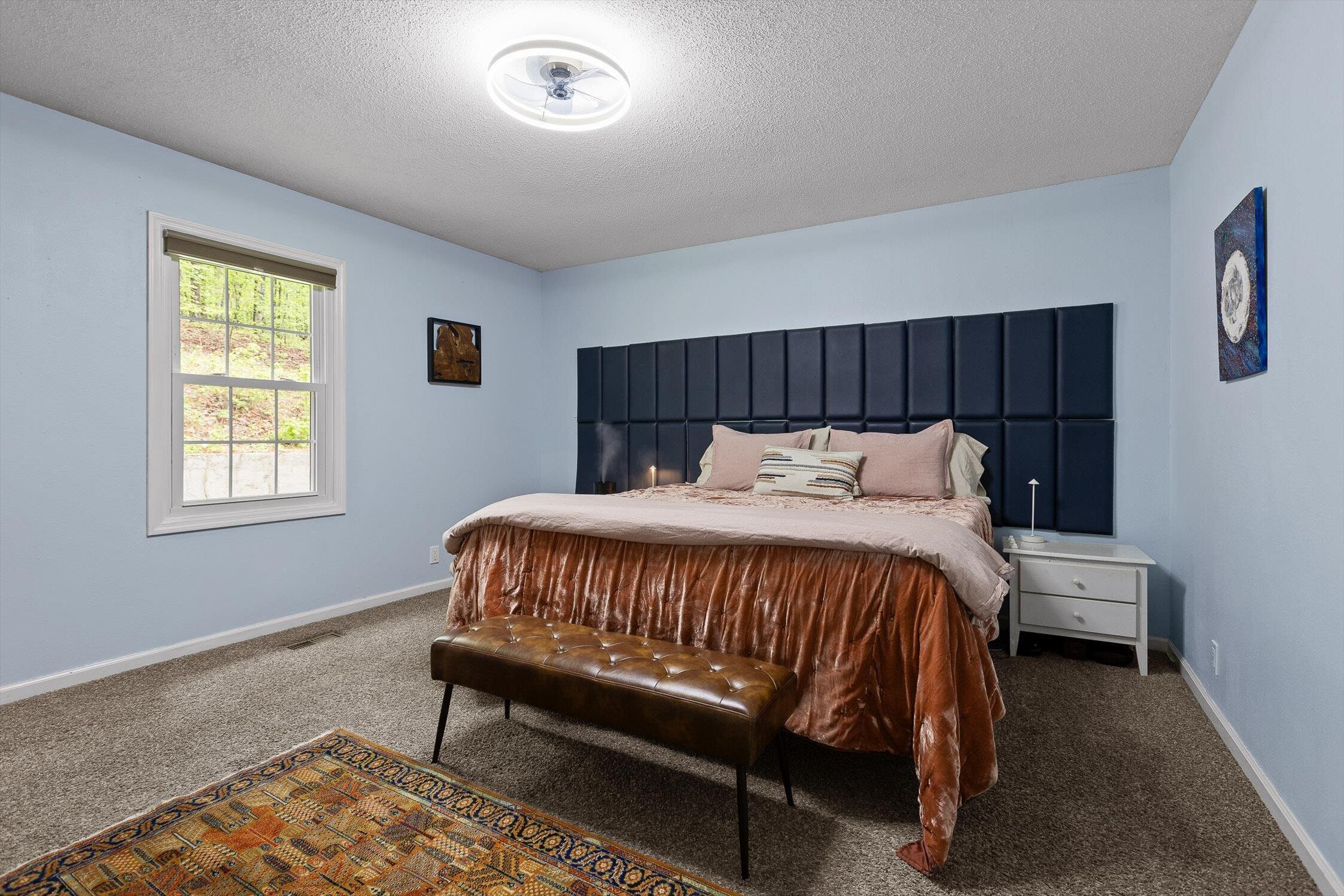 10816 E Brainerd Road, Apison, Tennessee image 23