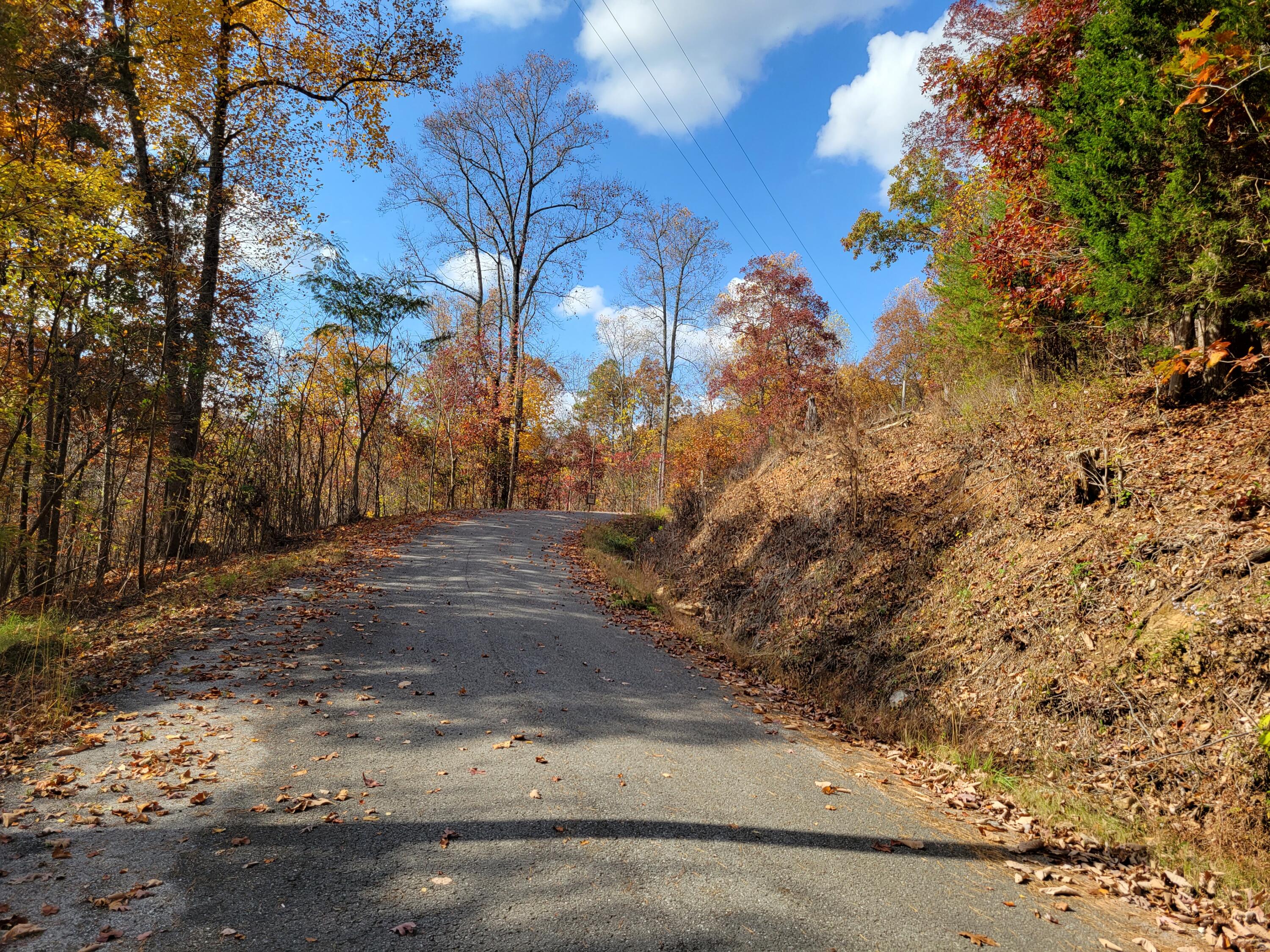 10 Raulstontown Road #10, South Pittsburg, Tennessee image 3