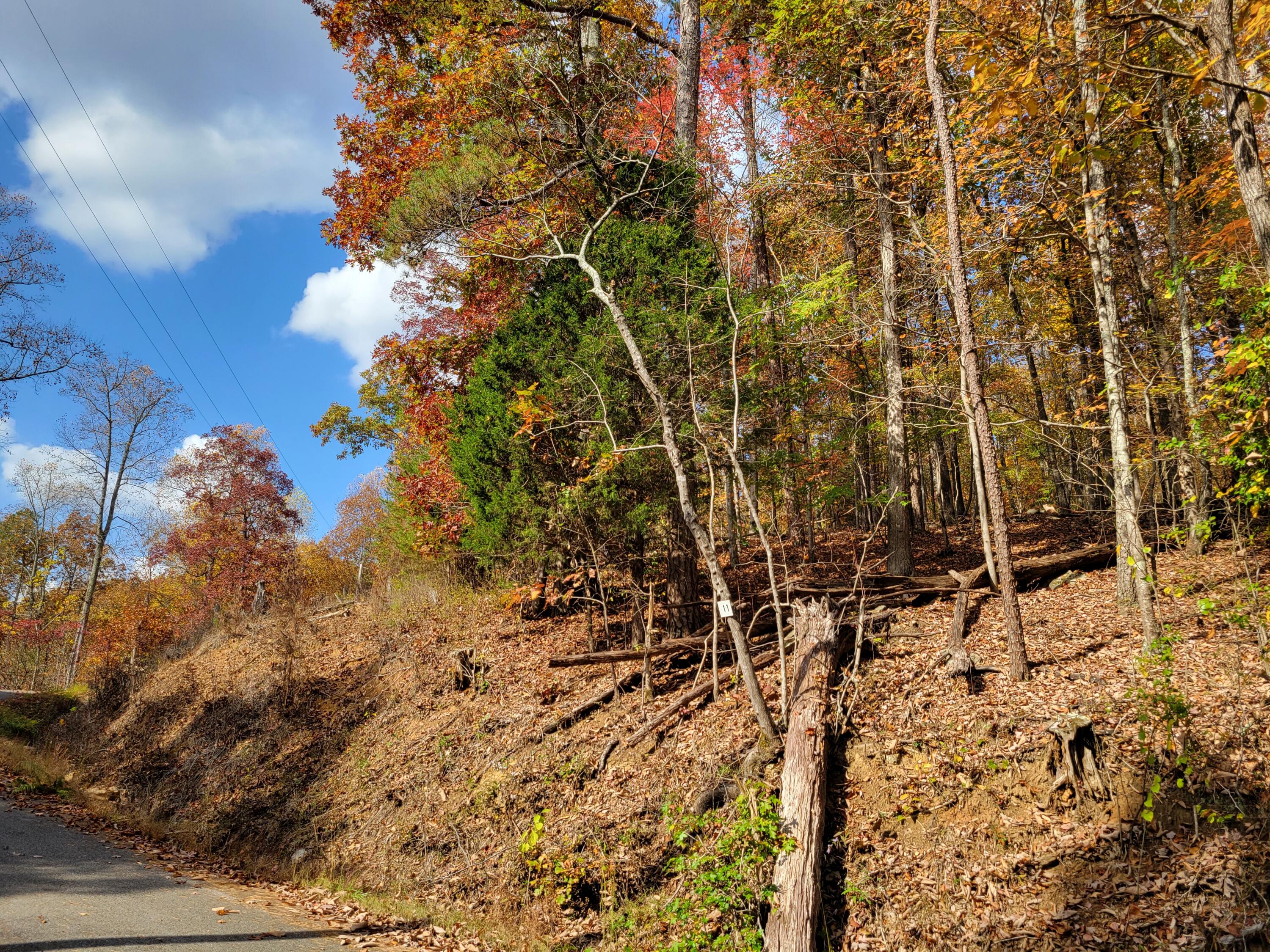 10 Raulstontown Road #10, South Pittsburg, Tennessee image 2