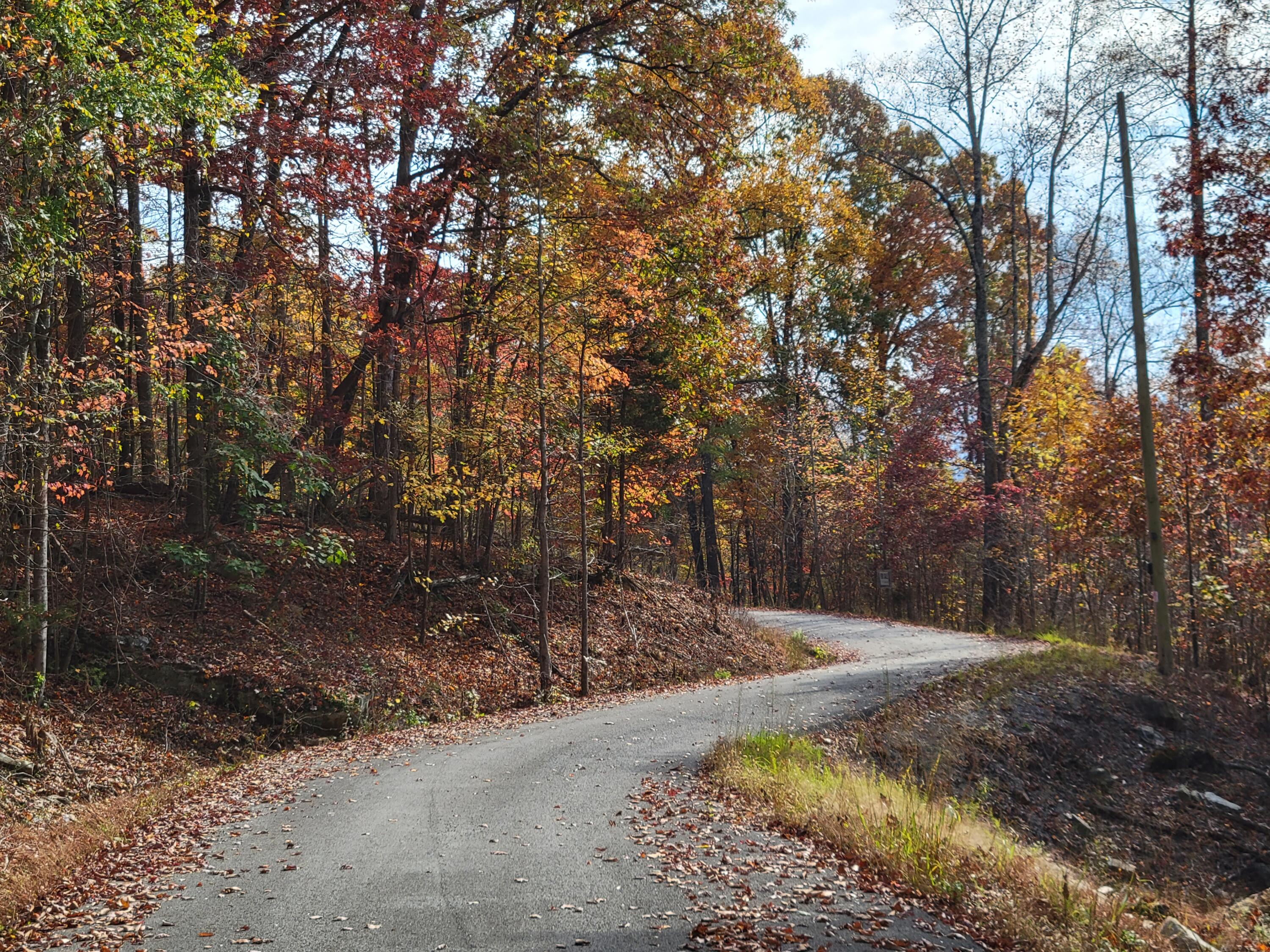 10 Raulstontown Road #10, South Pittsburg, Tennessee image 7
