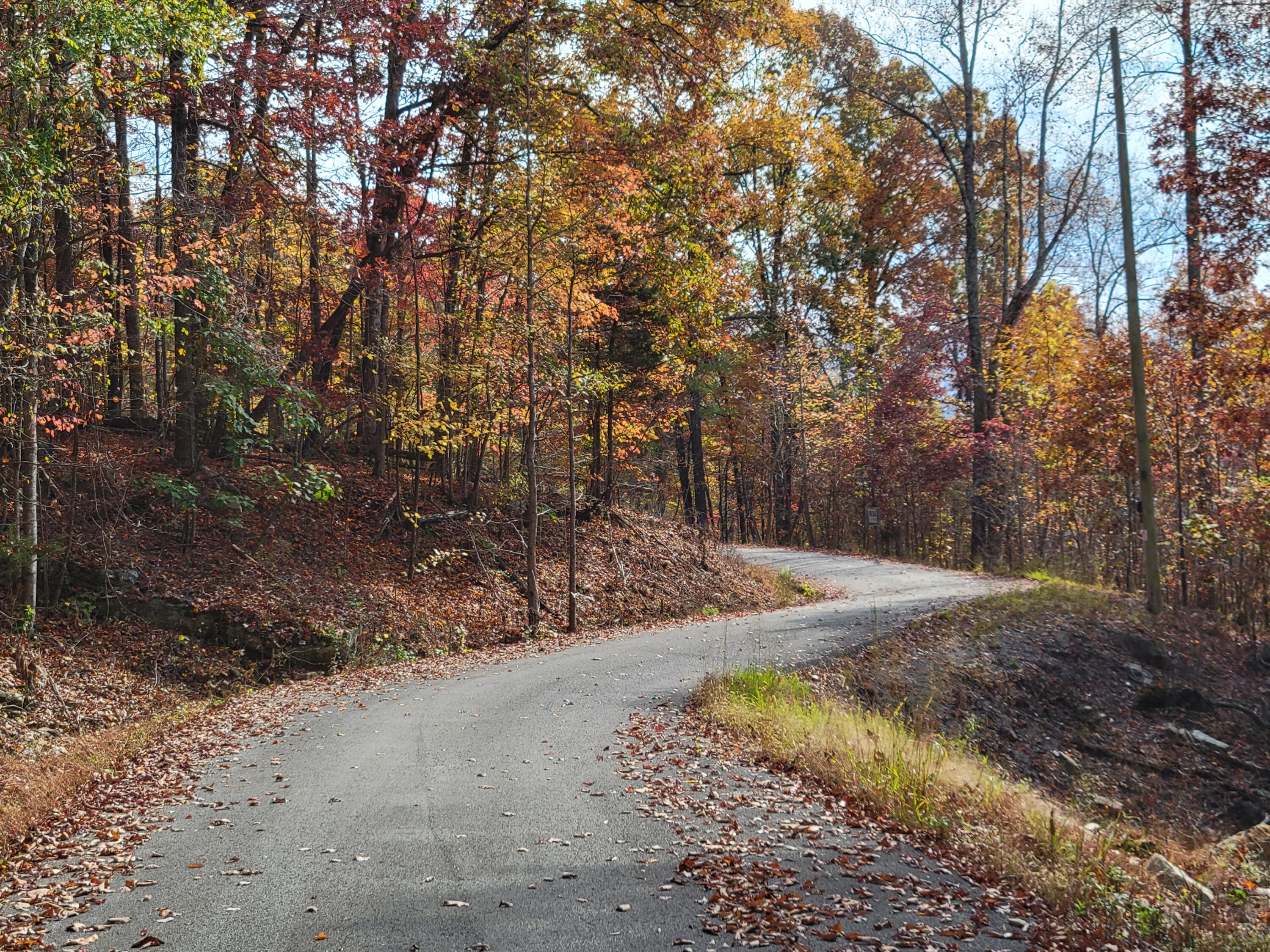 10 Raulstontown Road #10, South Pittsburg, Tennessee image 8