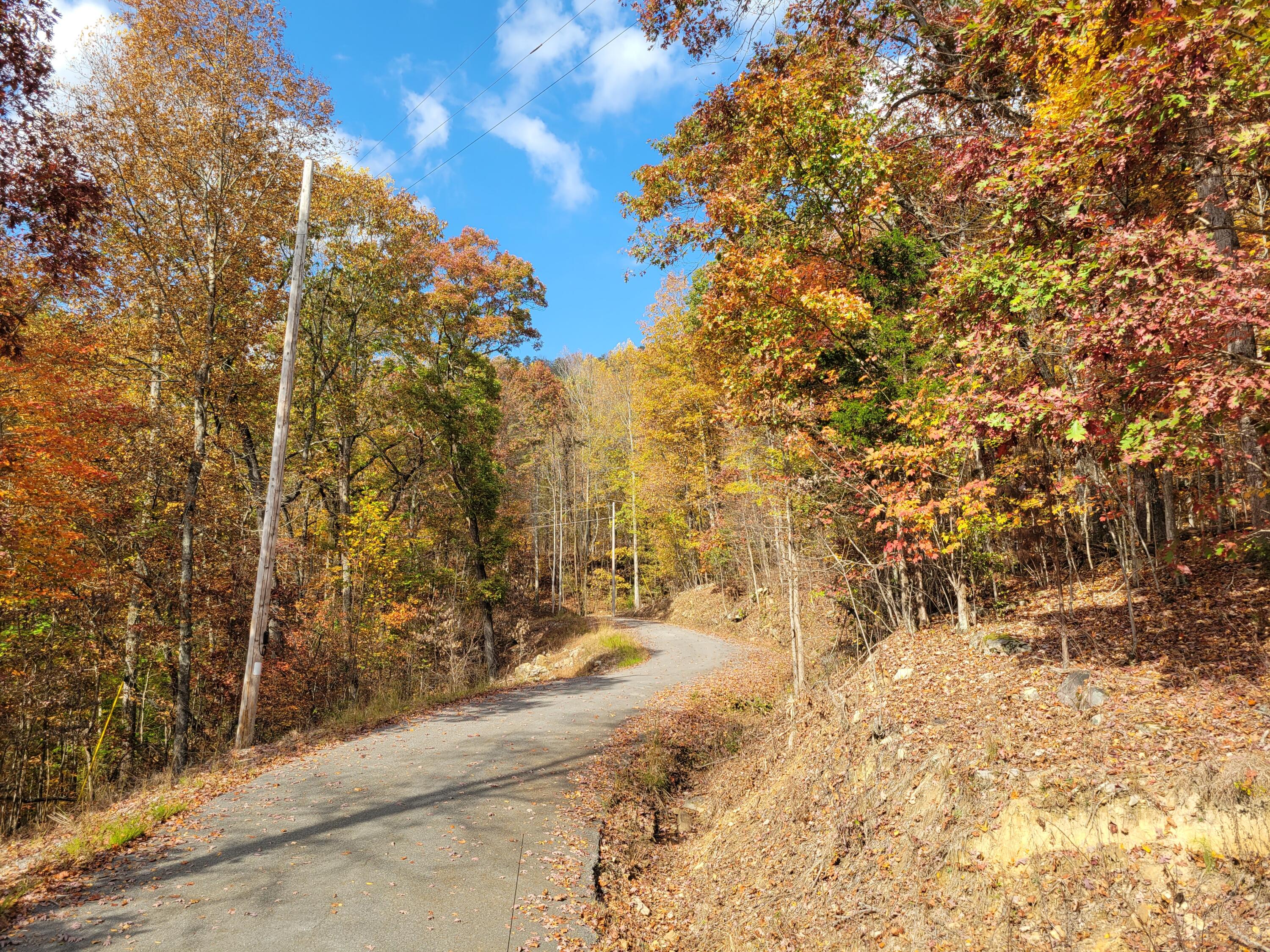 10 Raulstontown Road #10, South Pittsburg, Tennessee image 6