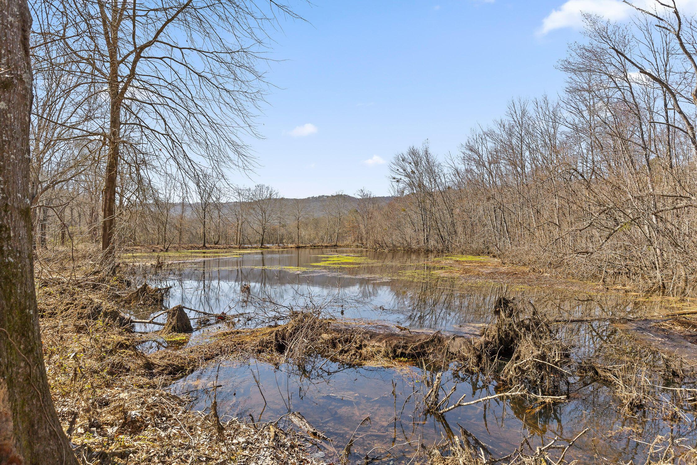 Wilson Road, Chattanooga, Tennessee image 21