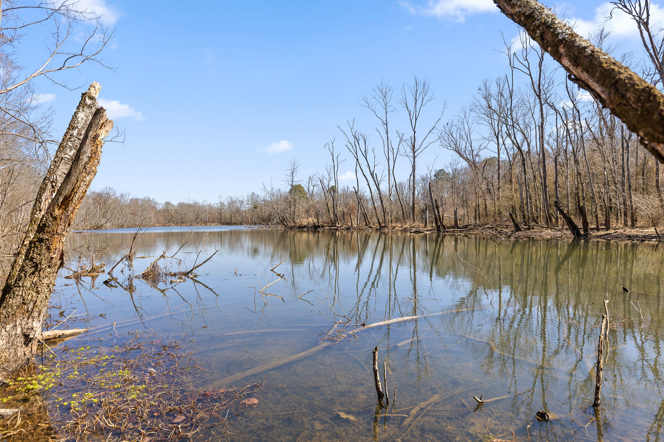 Wilson Road, Chattanooga, Tennessee image 3