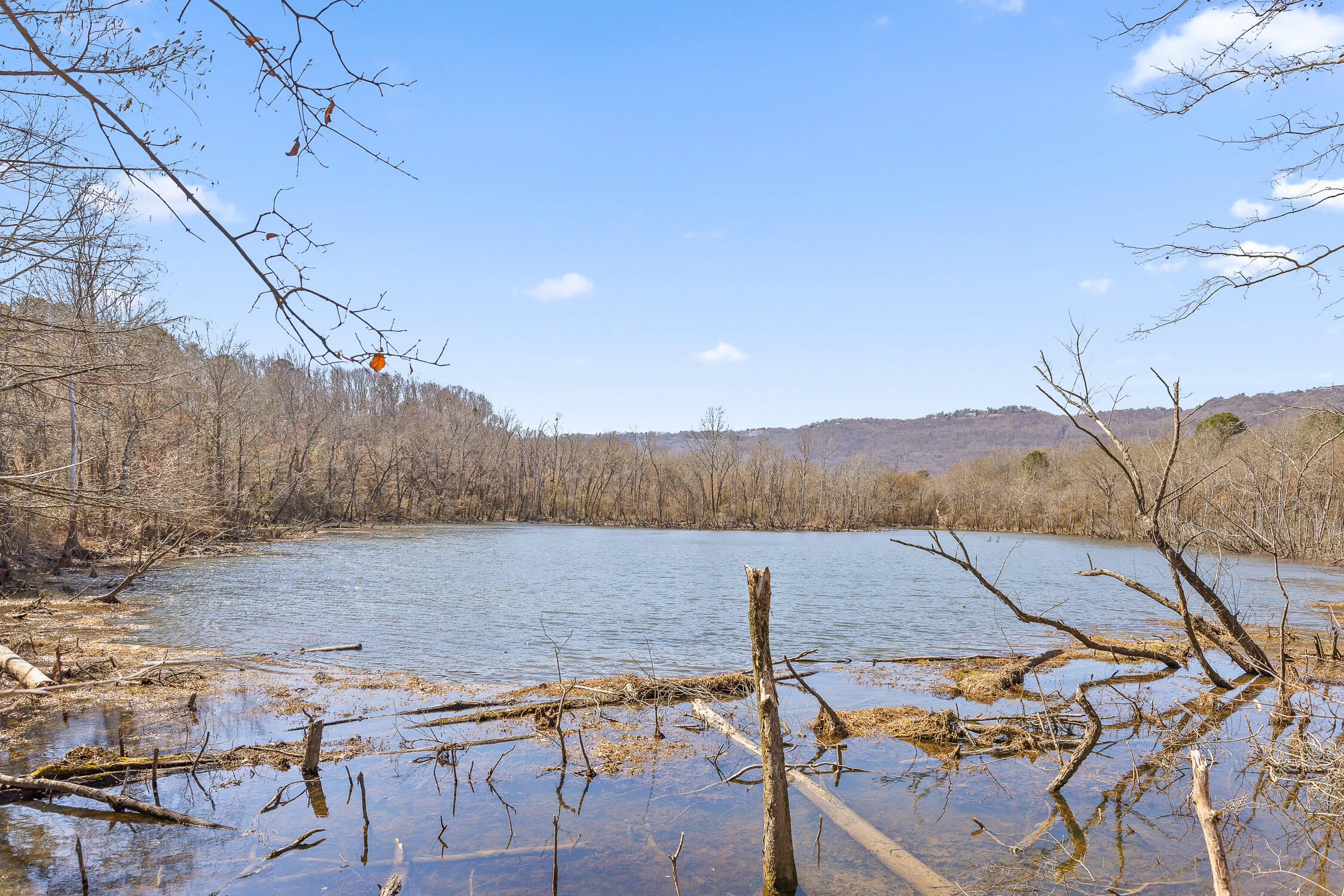 Wilson Road, Chattanooga, Tennessee image 10