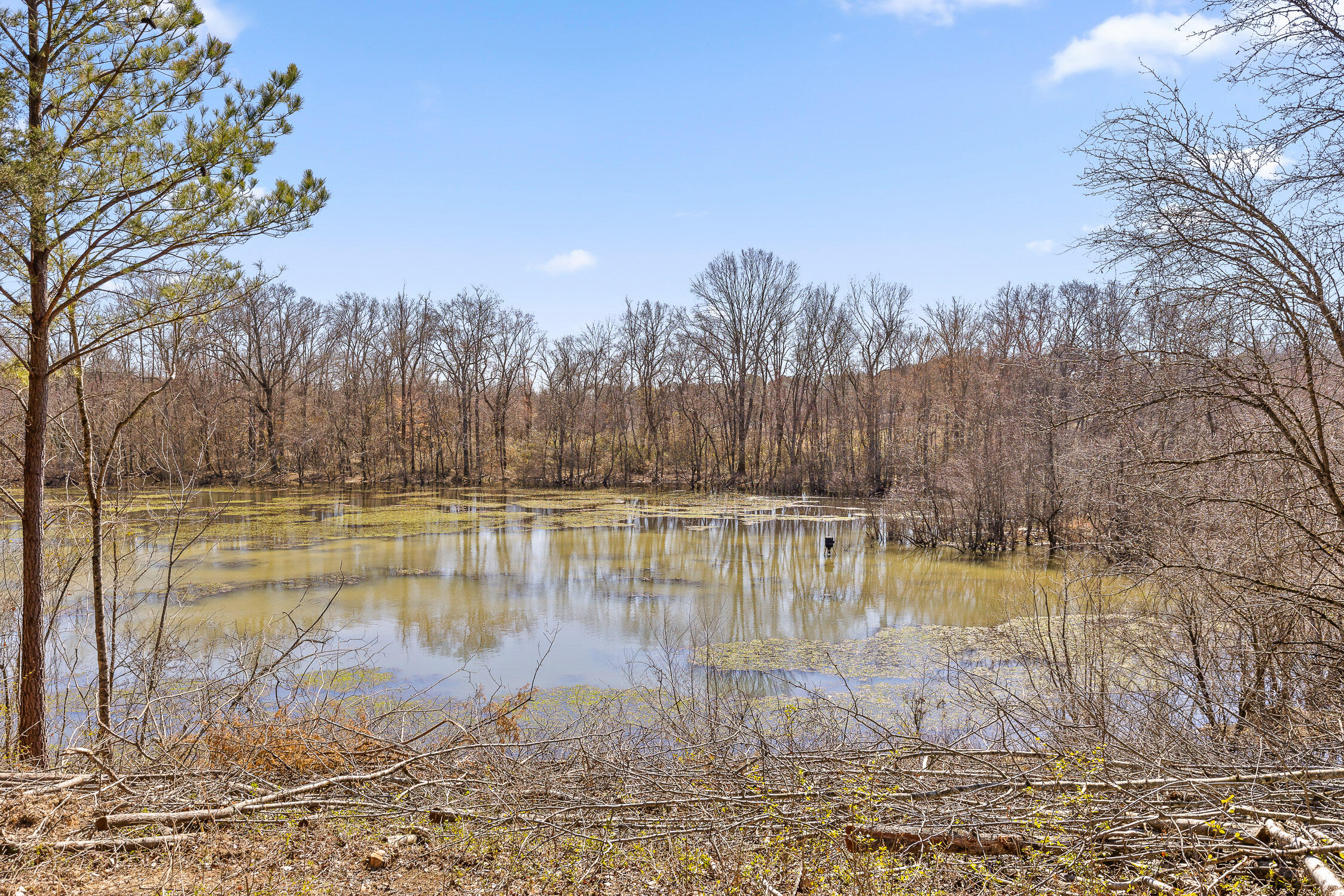 Wilson Road, Chattanooga, Tennessee image 18