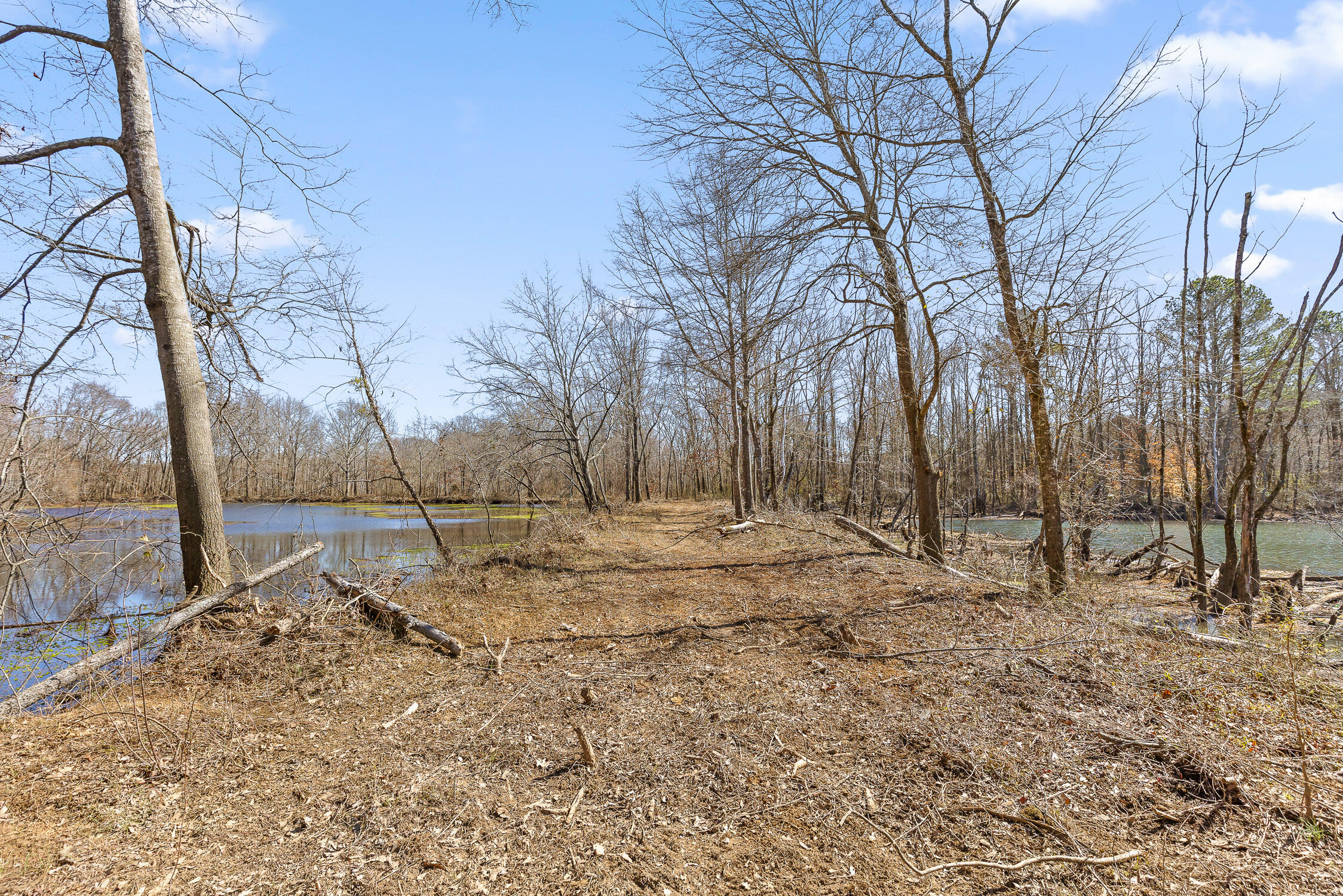 Wilson Road, Chattanooga, Tennessee image 7