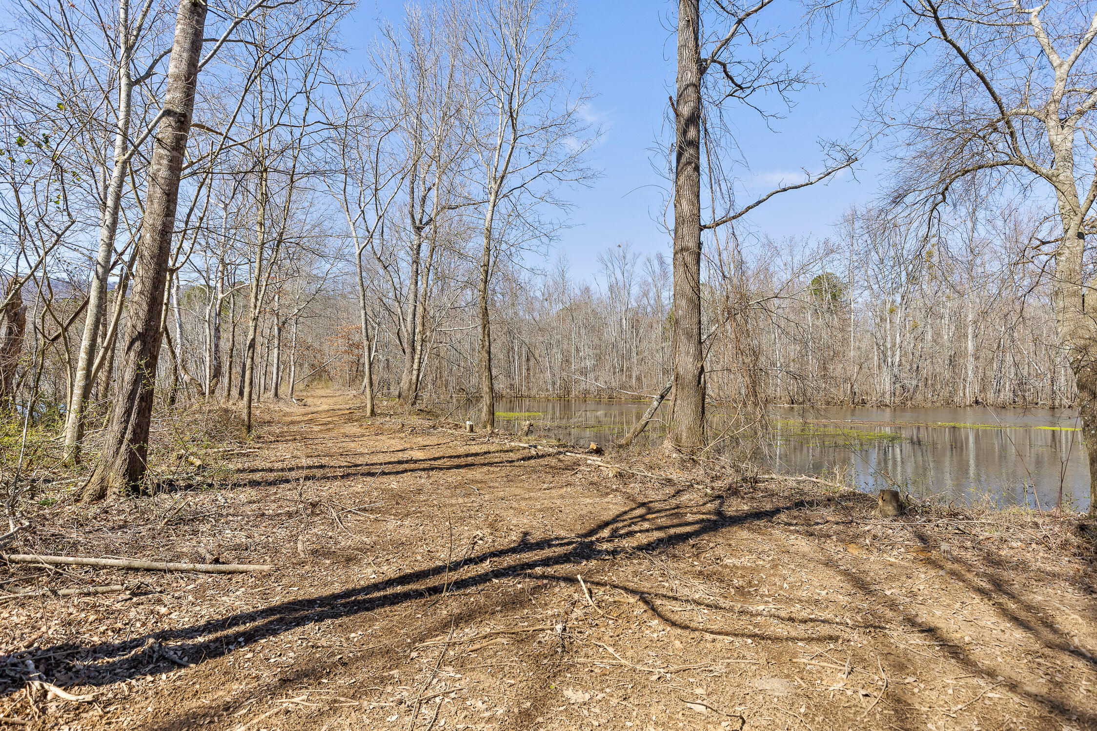 Wilson Road, Chattanooga, Tennessee image 11