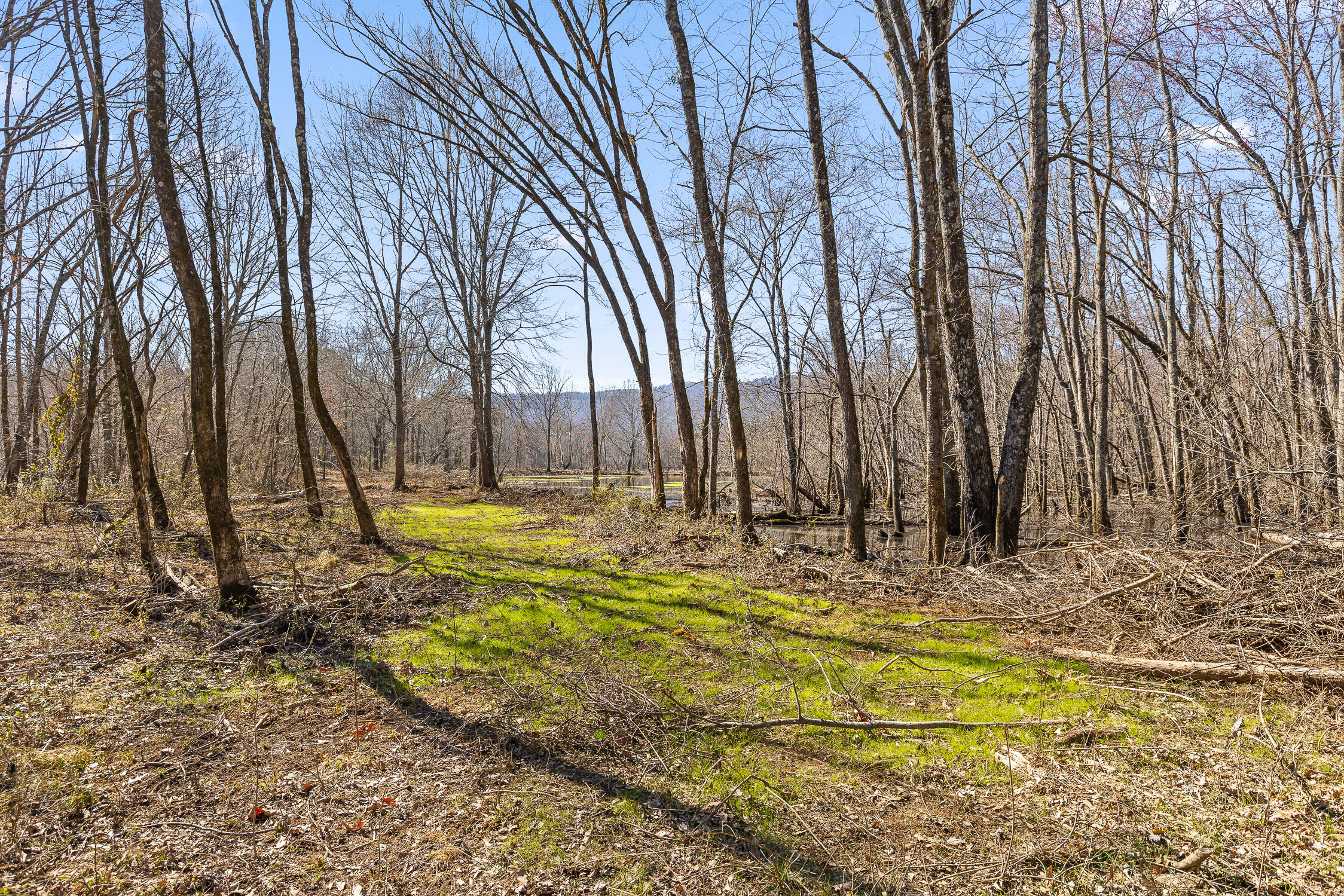 Wilson Road, Chattanooga, Tennessee image 20