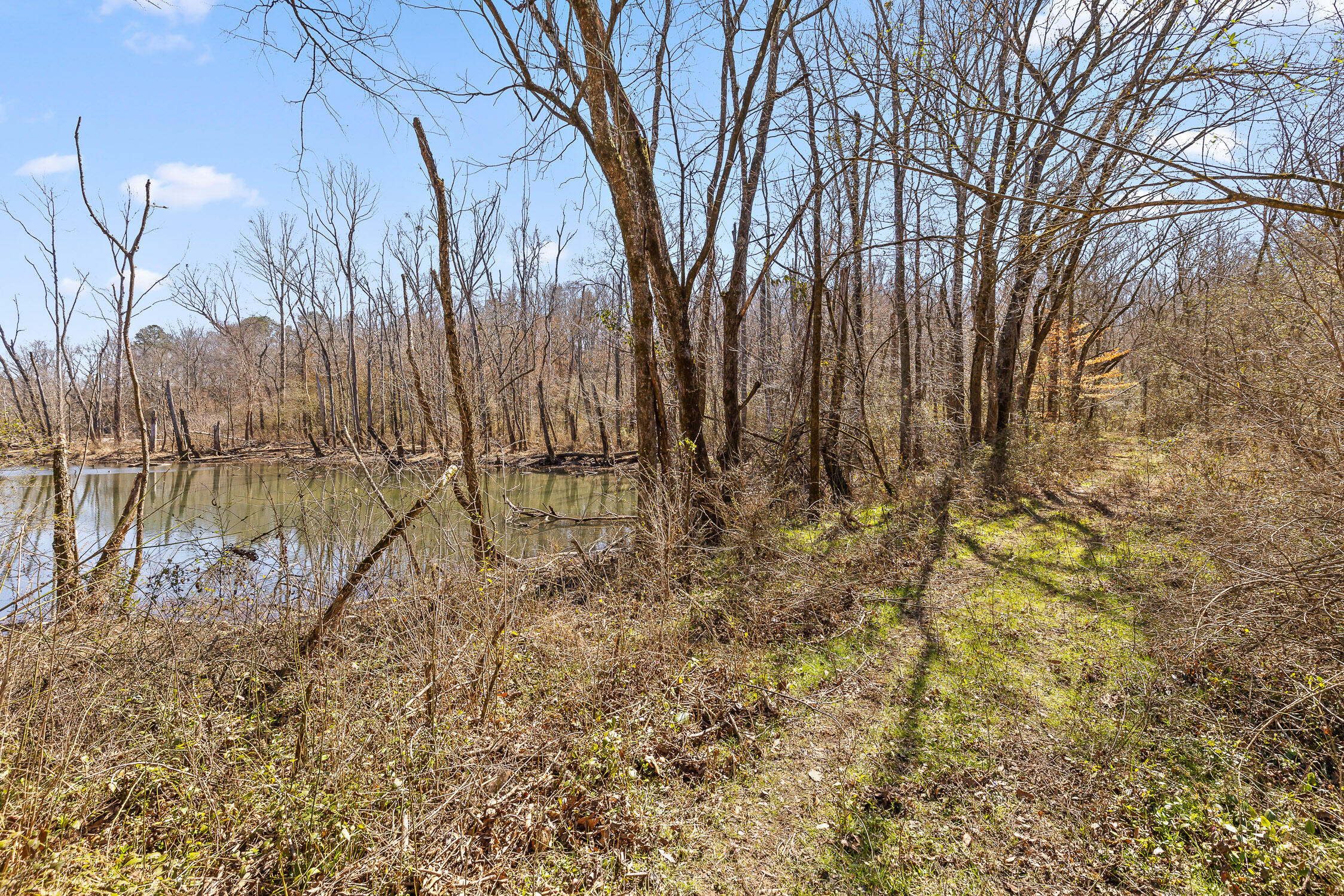 Wilson Road, Chattanooga, Tennessee image 4