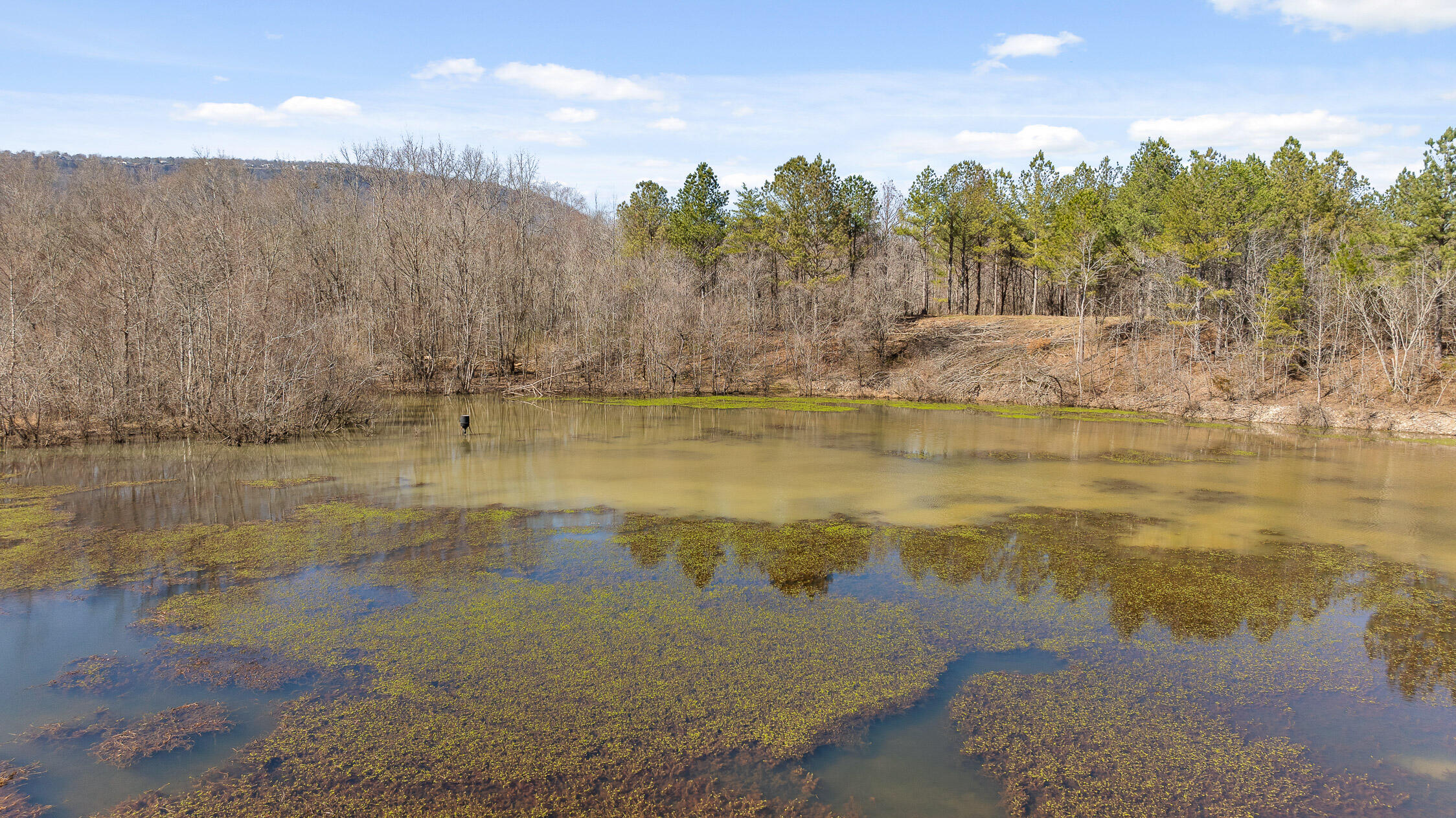 Wilson Road, Chattanooga, Tennessee image 35