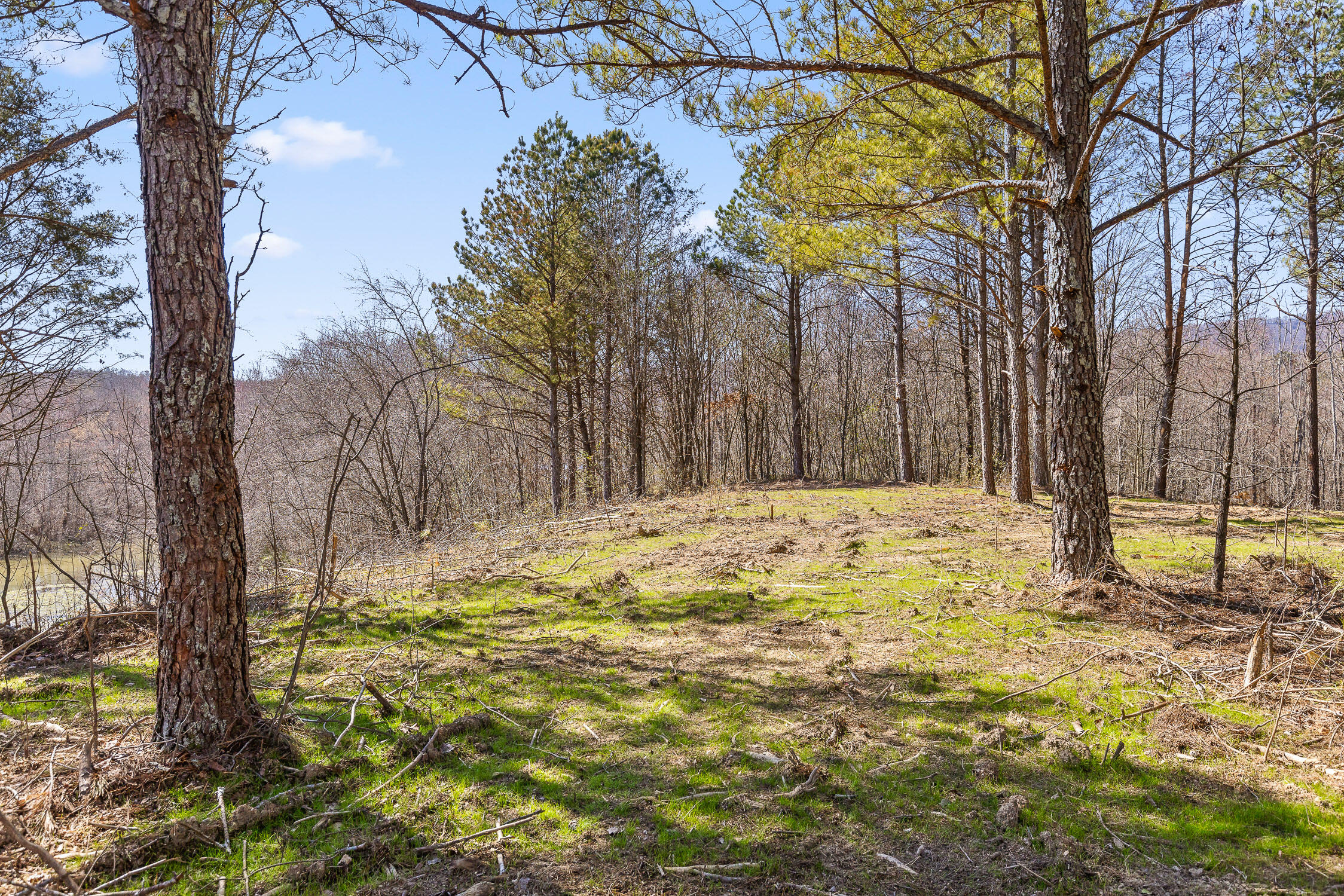 Wilson Road, Chattanooga, Tennessee image 17