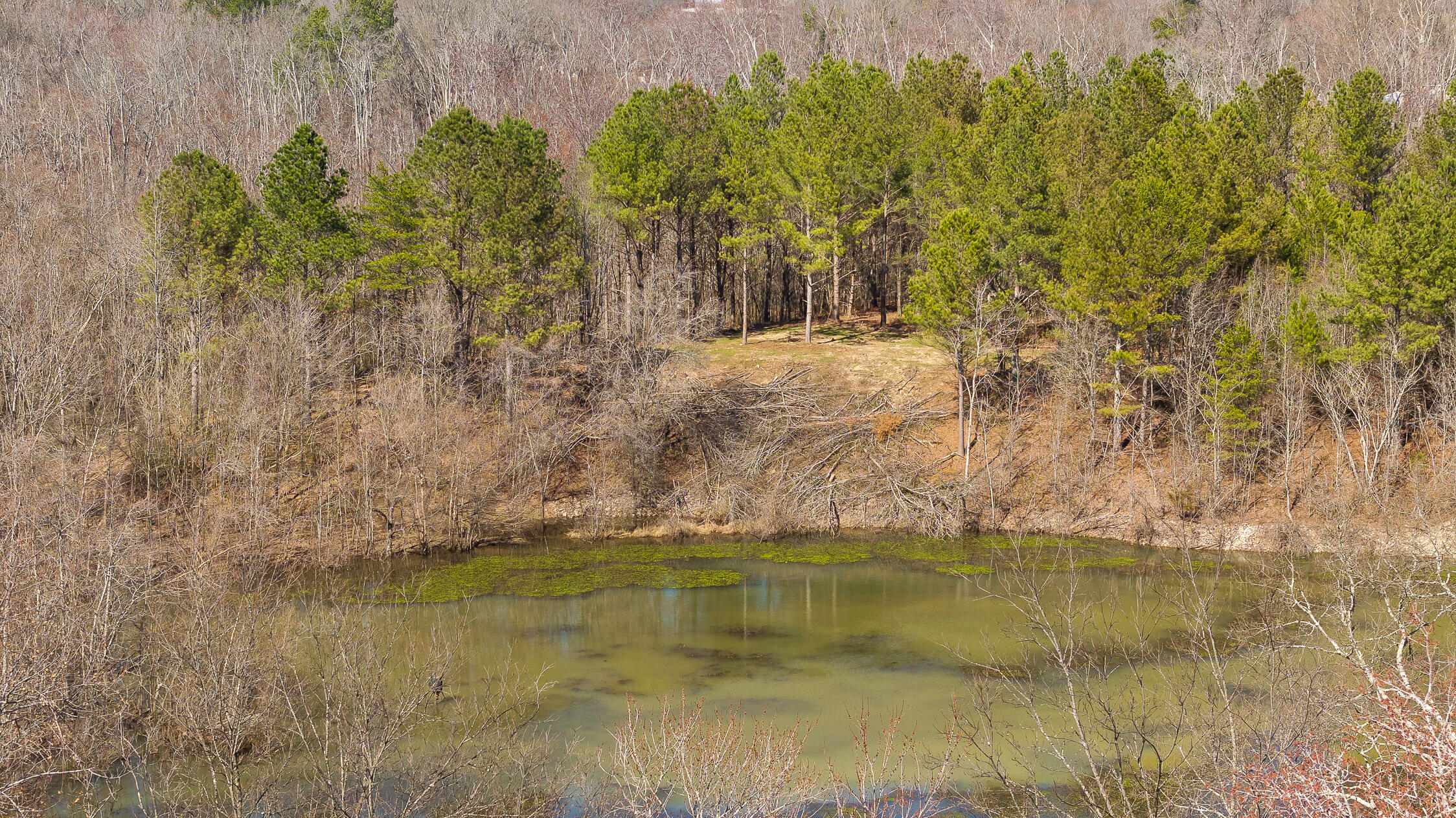 Wilson Road, Chattanooga, Tennessee image 33