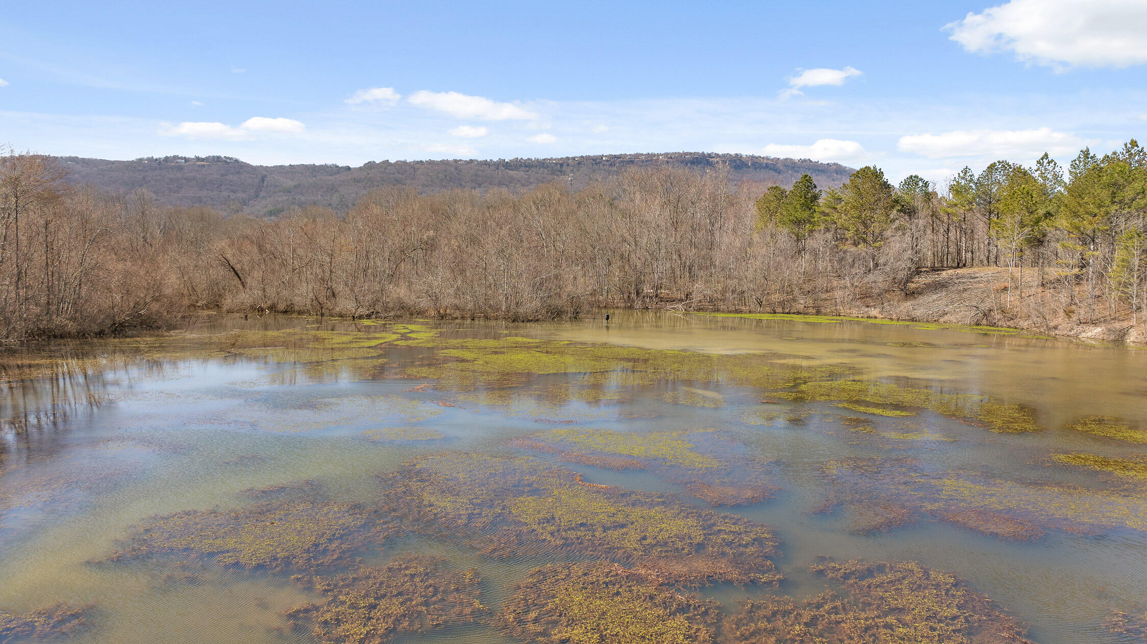 Wilson Road, Chattanooga, Tennessee image 34