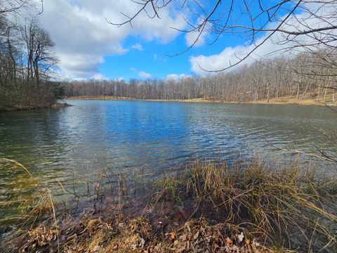 24 Blumont Drive 24 Altamont TN 37301