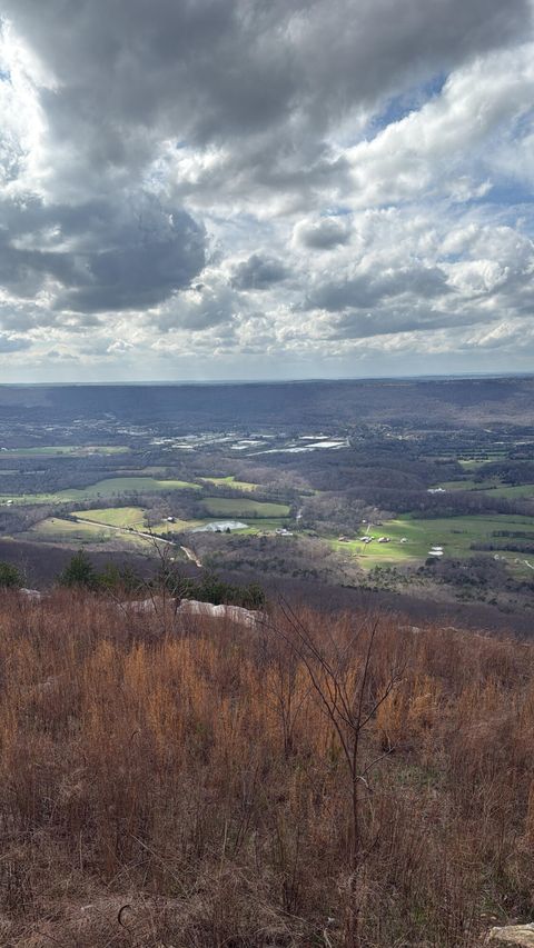 Tiny photo for Rising Fawn, GA 30738 (MLS # 1531136)