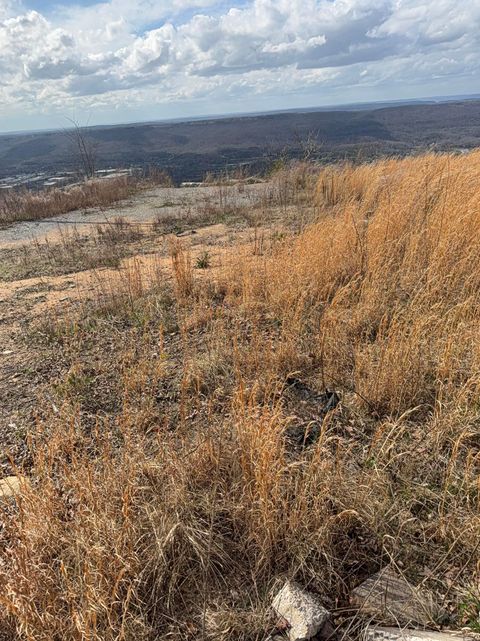 Photo of Rising Fawn, GA 30738 (MLS # 1531136)