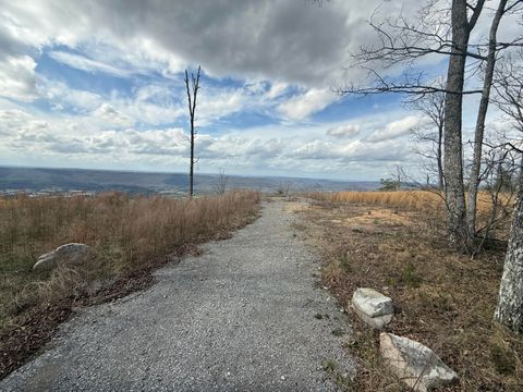 Tiny photo for Rising Fawn, GA 30738 (MLS # 1531136)