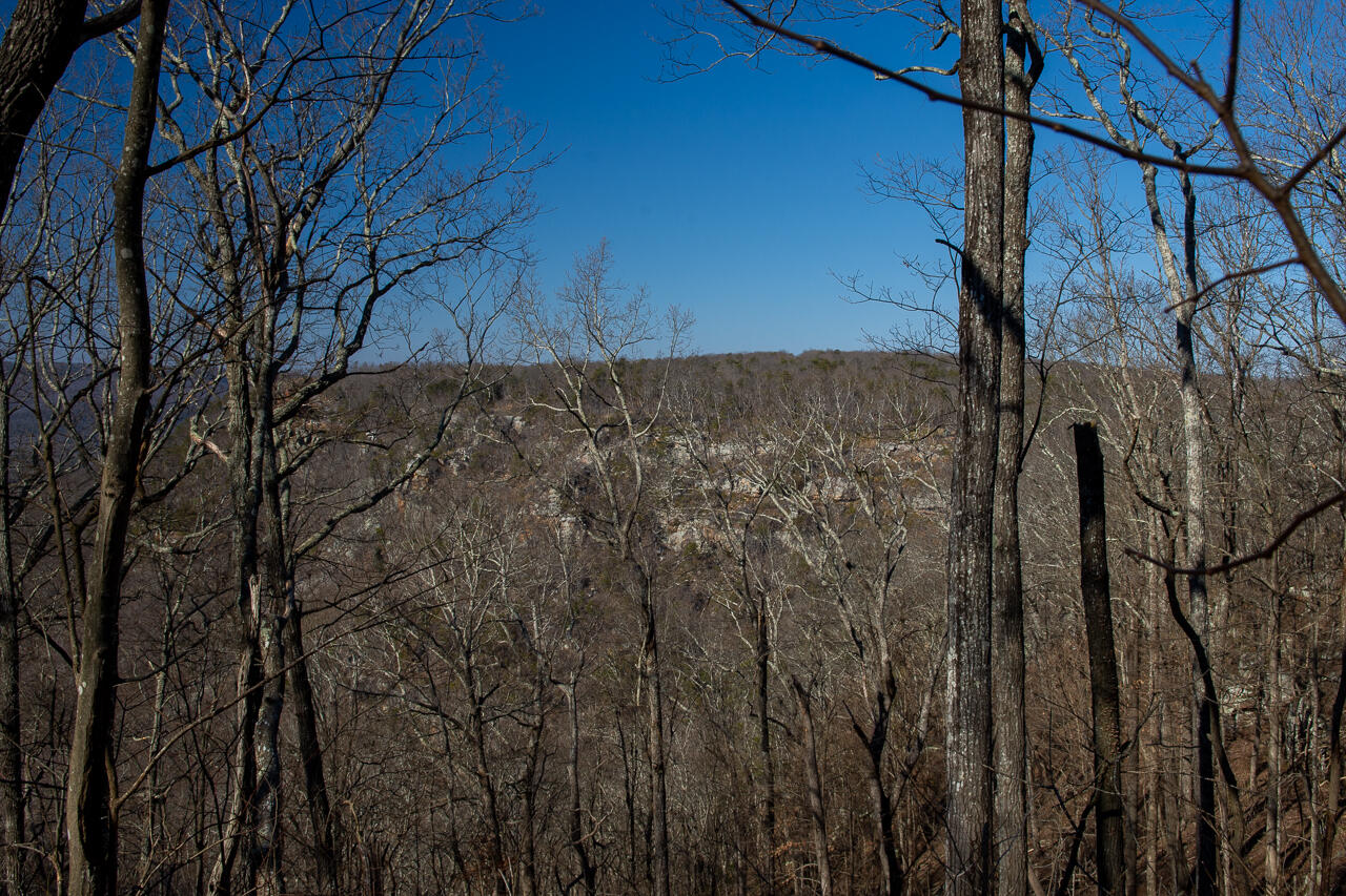 View Cloudland, GA 30731 land