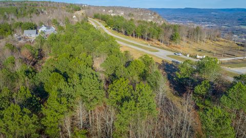 Tiny photo for 0 River Bluffs Drive, Jasper, TN 37347 (MLS # 1526664)