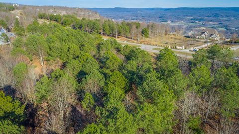 Tiny photo for 0 River Bluffs Drive, Jasper, TN 37347 (MLS # 1526664)